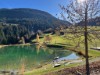 Bild 2 - Ude