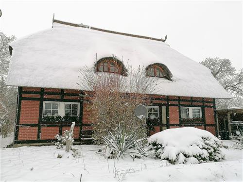 Ferielejlighed - 2 personer -  - Haus Lübeck - 17217 - Alt Rehse