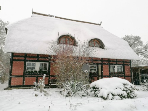 Semesterlägenhet - 2 personer -  - Haus Lübeck - 17217 - Alt Rehse