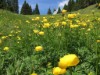 Image 4 - Outside