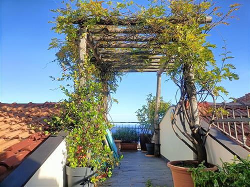 Sommerhus - 8 personer -  - Alassio - 17021