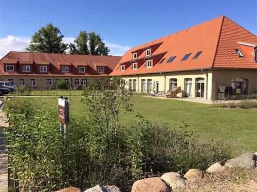 Semesterhus/Semesterlägenhet - 2 personer -  - Alte Dorfstr. - 17406 - Stolpe Auf Usedom