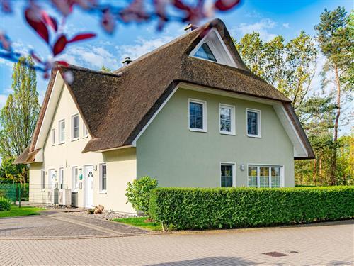 Ferienhaus - 6 Personen -  - Jordanstraße - 18374 - Zingst / Ostseebad Zingst