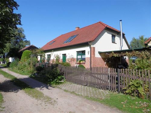 Semesterhus/Semesterlägenhet - 3 personer -  - Fewo in Klein Bandelvitz, Haus - 18573 - Altefähr