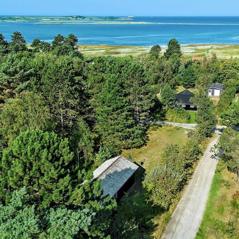 Ferienhaus - 4 Personen -  - Sandvejen - Fyns Hoved - 5390 - Martofte