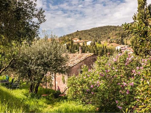 Ferielejlighed - 6 personer -  - Via San Michele - Montecatini Val Di Cecina - 56040 - Montecatini Val Di Cec