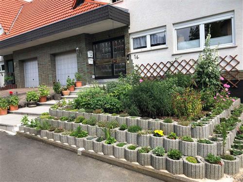 Ferienwohnung - 2 Personen -  - Heinrich-Heine-Straße - 34596 - Bad Zwesten