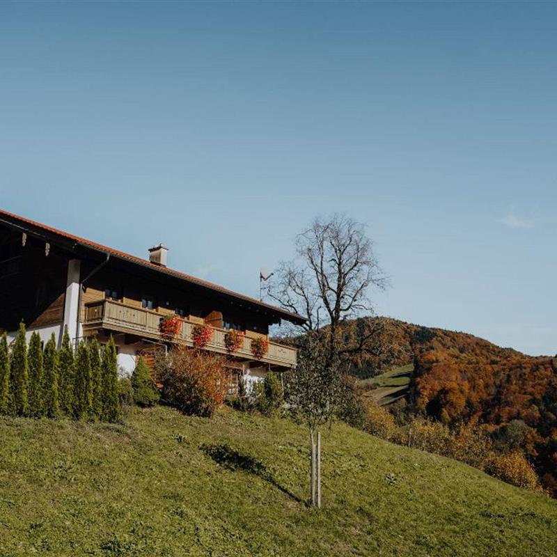 Ferielejlighed - 2 personer -  - Eisgrabenweg - 83487 - Marktschellenberg