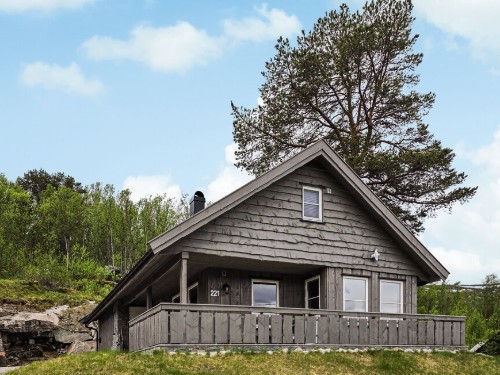 Sommerhus - 10 personer -  - Nonstølvegen - Hallingskarvet - 3577 - Hovet