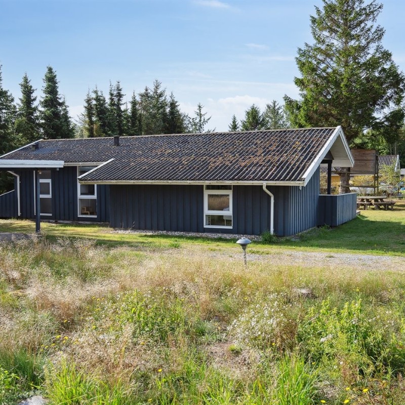 Sommerhus - 6 personer -  - Lindeparken - Hou - 9370 - Hals