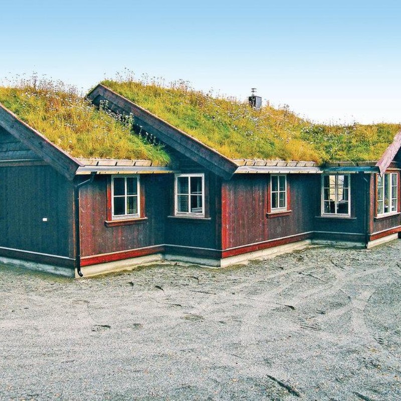Sommerhus - 9 personer -  - Høgeloft - 3560 - Hemsedal