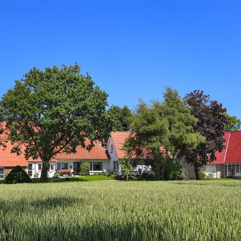 Bondegård - 6 personer -  - Erichswarfen - 26409 - Wittmund