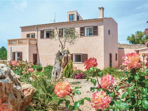 Holiday home - 9 persons -  - Poligono 5 Parcela - 07529 - Ariany