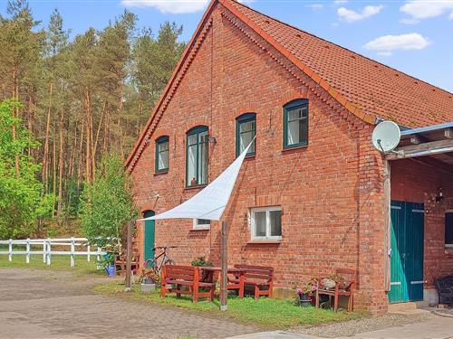 Ferienhaus - 2 Personen -  - Plagenweg - 19399 - Dobbin