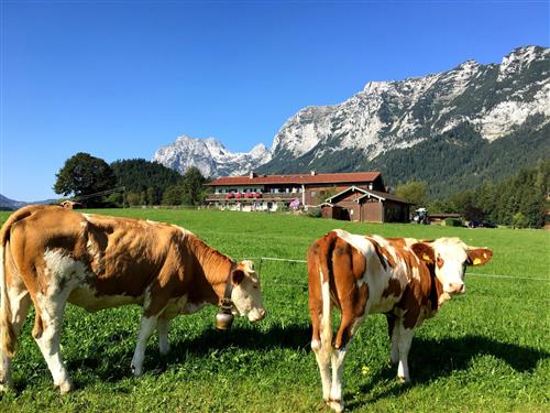 Semesterhus/Semesterlägenhet - 4 personer -  - Triebenbachstraße - 83486 - Ramsau