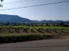 Image 36 - Outside