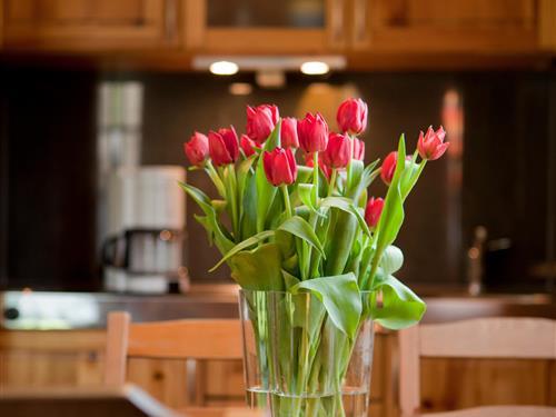 Feriehus - 4 personer -  - Schloßbezirk - 03222 - Lübbenau/Spreewald