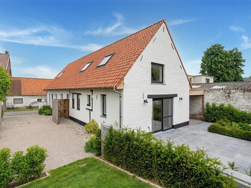 Sommerhus - 10 personer -  - 7750 - Mont De L'enclus