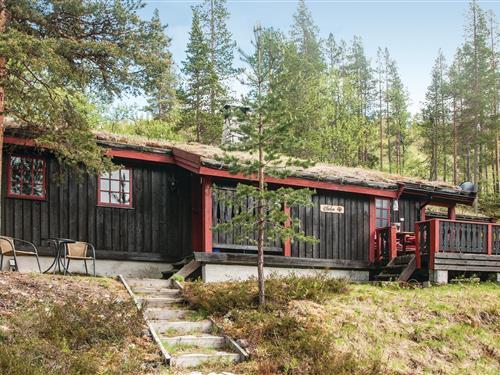 Holiday Home/Apartment - 8 persons -  - Røsslyngen - Renåfjellet/Rendalen - 2485 - Rendalen