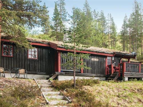 Feriehus - 8 personer -  - Røsslyngen - Renåfjellet/Rendalen - 2485 - Rendalen