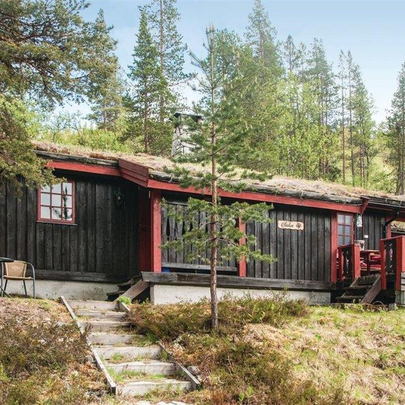 Sommerhus - 8 personer -  - Røsslyngen - Renåfjellet/Rendalen - 2485 - Rendalen