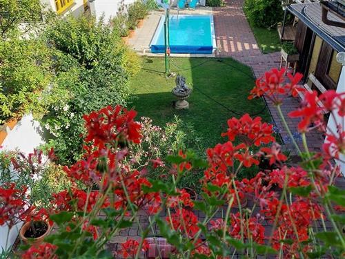 Holiday apartment - 2 persons -  - Hauptstrasse - 2171 - Herrnbaumgarten