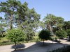 Bild 21