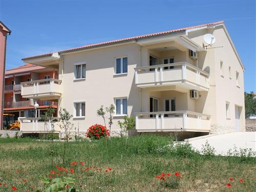 Ferieleilighet - 3 personer -  - Kneza Branimira - 53291 - Novalja