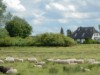 Bild 36