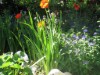 Bild 14