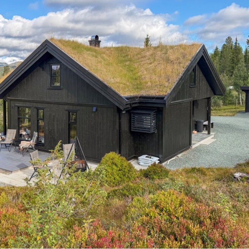 Sommerhus - 9 personer -  - Buinvassvegen - Vinje, Øyfjell - 3890 - Vinje
