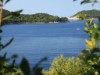 Bilde 31