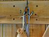 Image 14