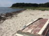 Billede 28