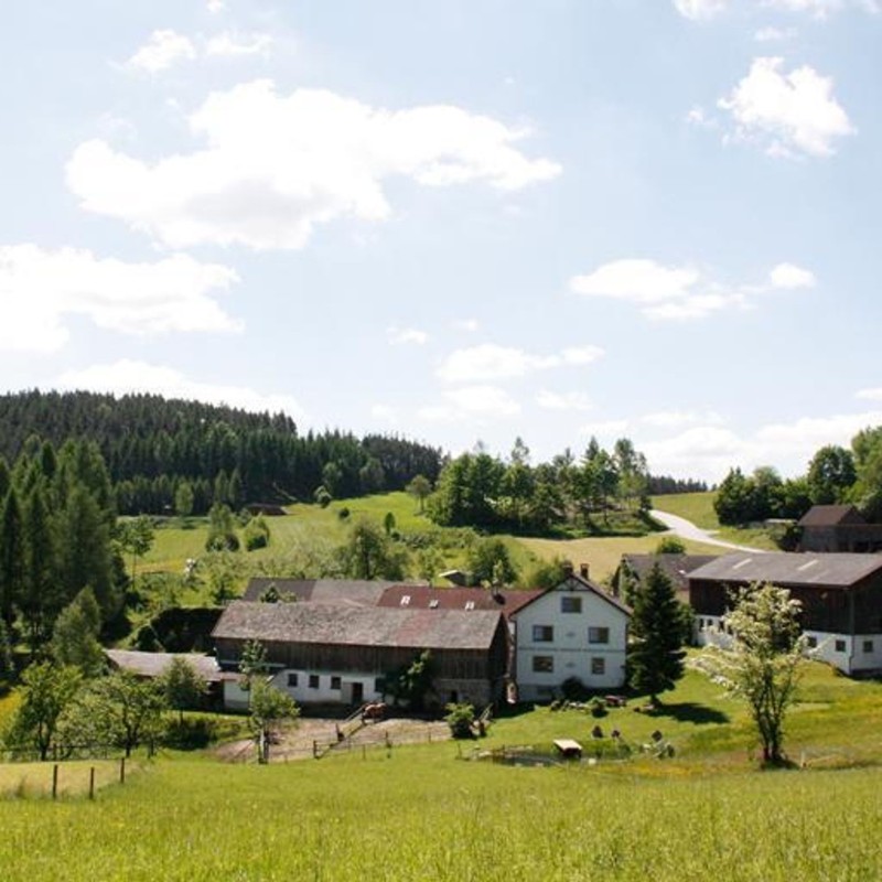 Bondegård - 4 personer -  - Kleinnondorf - 3911 - Rappottenstein