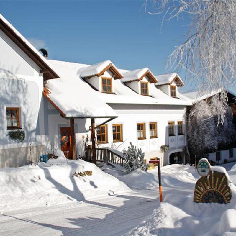 Bondegård - 4 personer -  - Kleinnondorf - 3911 - Rappottenstein