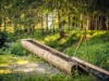 Bild 10 - Ude
