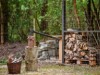 Bild 16
