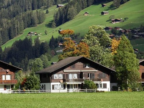 Holiday apartment - 3 persons -  - Lenk - 3775