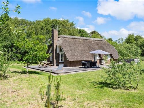 Sommerhus - 4 personer -  - Vester Mosevej - Vester Husby - 6990 - Ulfborg