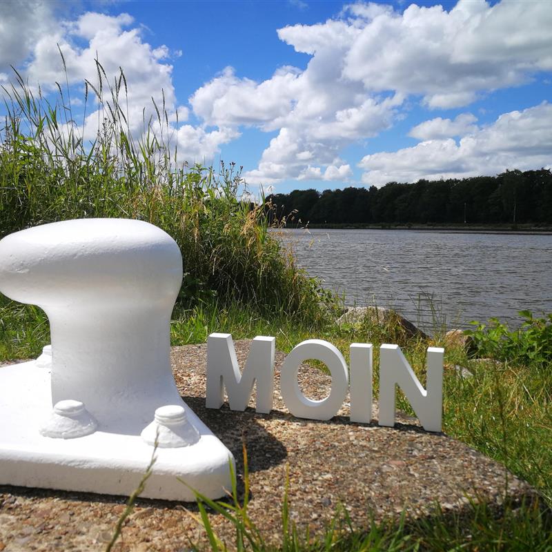 Værelse - 2 personer -  - Liesbüttler Ring - 25557 - Steenfeld