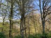 Billede 4