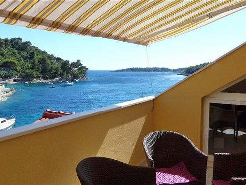 Ferielejlighed - 5 personer -  - Gršcica - 20271 - Gršcica