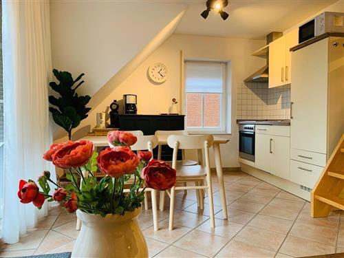 Holiday Home/Apartment - 4 persons -  - Kolkstrasse - 26506 - Norddeich