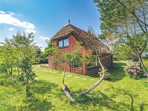 Sommerhus - 3 personer -  - Rosenweg - 25999 - Kampen Auf Sylt