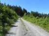 Billede 22