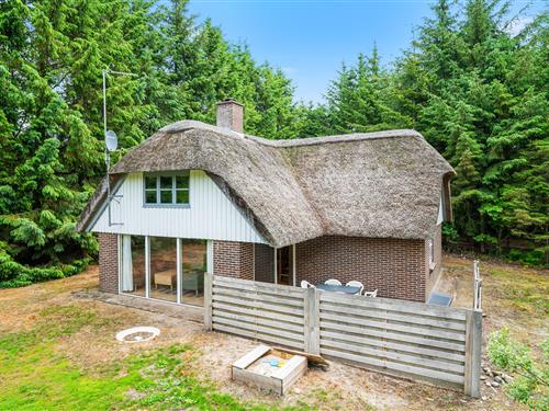 Sommerhus - 6 personer -  - Vester Mosevej - Vester Husby - 6990 - Ulfborg