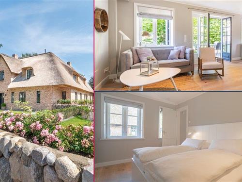 Feriehus - 5 personer -  - Nieblumweg - 25938 - Alkersum