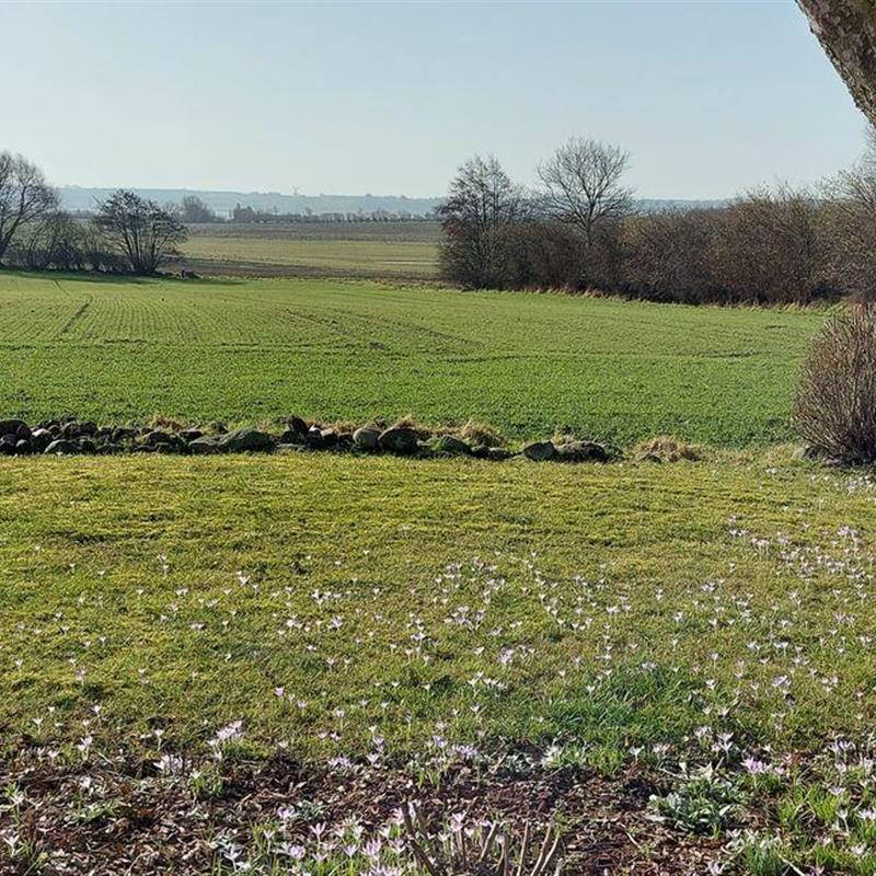 Sommerhus - 5 personer -  - Sparrhöh - 24882 - Füsing