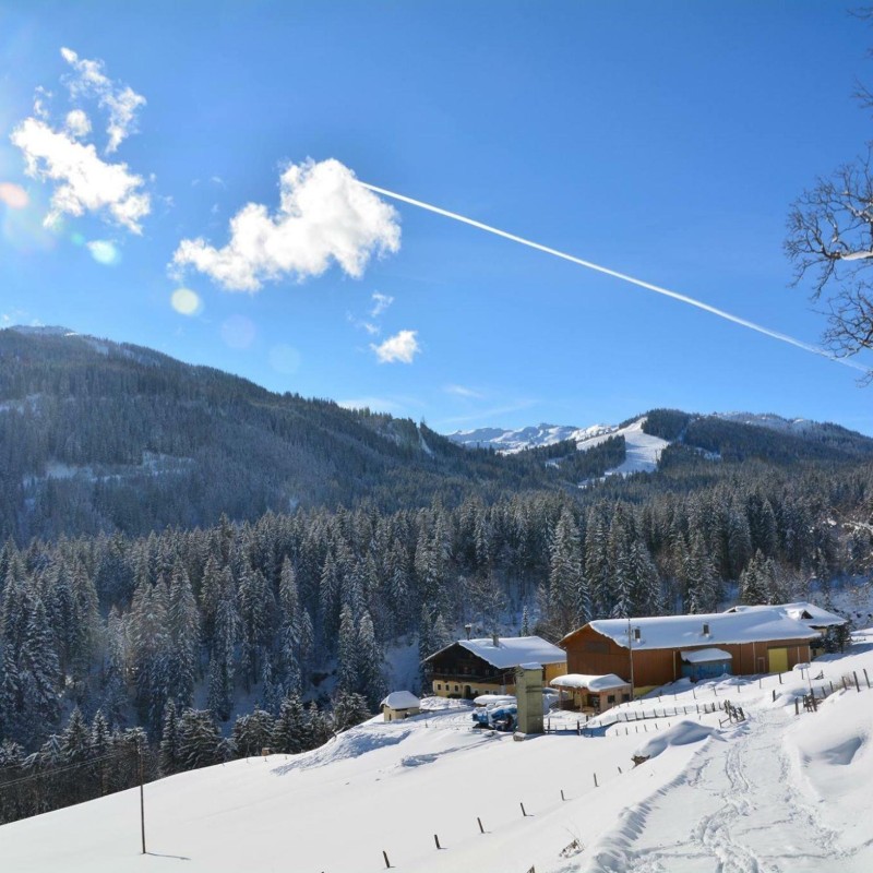 Bondegård - 18 personer -  - Elmau - 5505 - Mühlbach Am Hochkönig